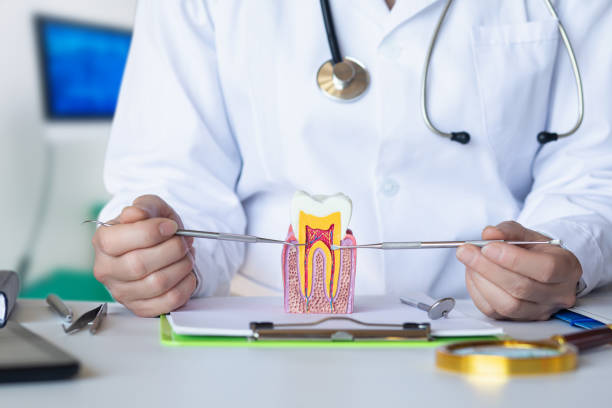 Best Emergency Root Canal Treatment in Lazy Mountain, AK